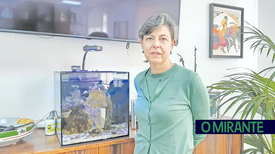 “Tive de lutar para me afirmar num mercado de trabalho masculino” “Tive de lutar para me afirmar num mercado de trabalho masculino”