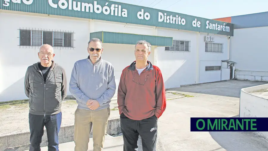 Columbofilia já foi o terceiro desporto mais praticado mas tem vindo a perder adeptos Columbofilia já foi o terceiro desporto mais praticado mas tem vindo a perder adeptos