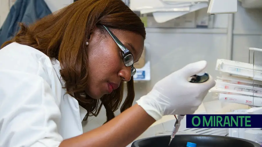 Prémio distingue investigação sobre cancro, células e infecção parasitária Prémio distingue investigação sobre cancro, células e infecção parasitária