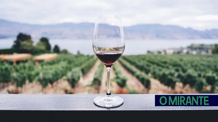 Festival do vinho arranca hoje em Vila Franca de Xira Festival do vinho arranca hoje em Vila Franca de Xira