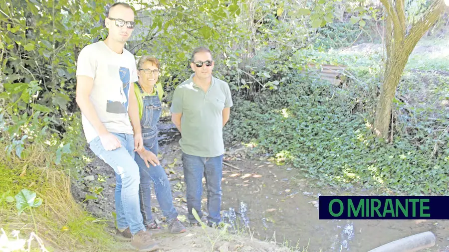 Petição para instalar saneamento básico na aldeia da Pereira Petição para instalar saneamento básico na aldeia da Pereira