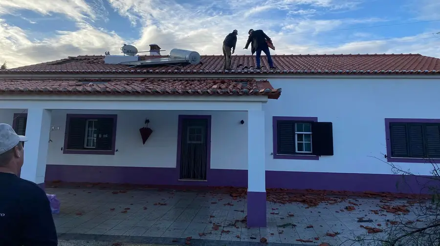 Ministério da Agricultura vai fazer levantamento dos prejuízos em Salvaterra de Magos Ministério da Agricultura vai fazer levantamento dos prejuízos em Salvaterra de Magos