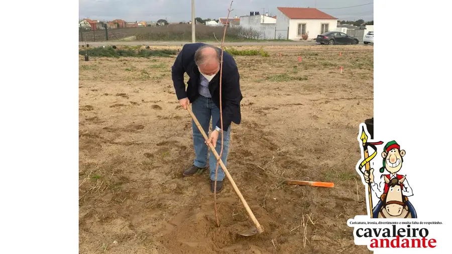 A vergar a mola logo pela manhã A vergar a mola logo pela manhã