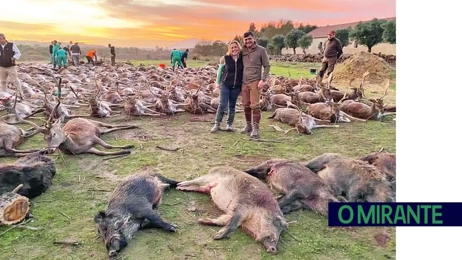 Massacre de animais na Torre Bela continua sem culpados