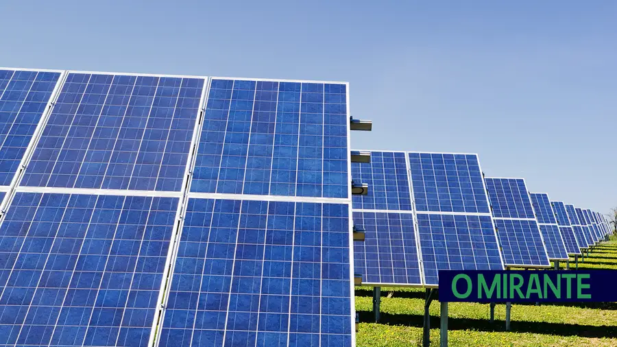Presidente de Gavião aceita abate de sobreiros para construção de central fotovoltaica  