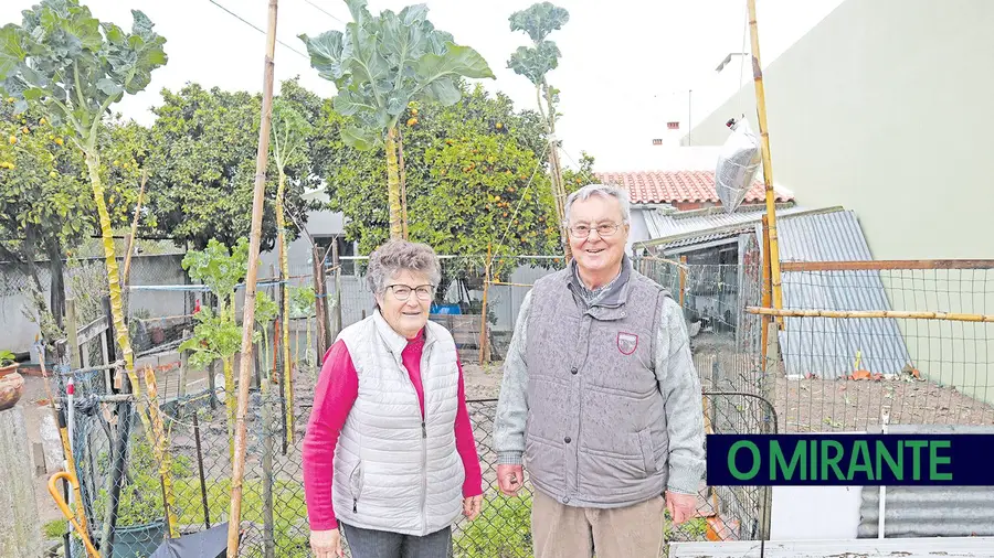 Maria Fernandes e António Cardador regressaram à Caniceira, em Vale de Cavalos, 40 anos depois de se terem mudado para o distrito de Setúbal à procura de uma vida melhor