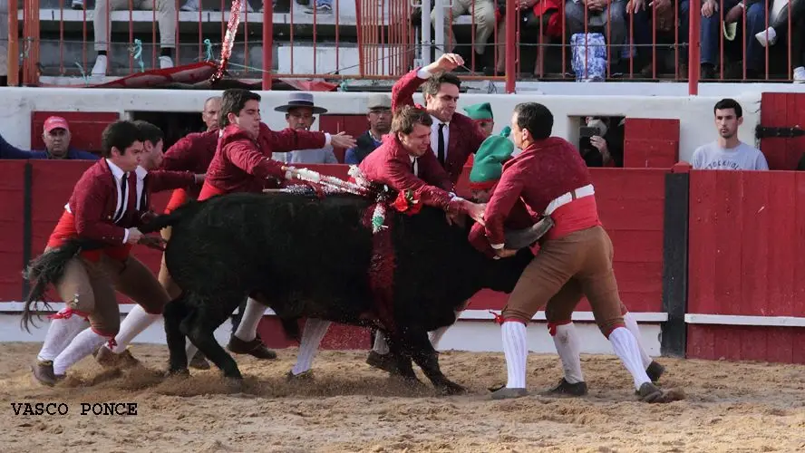 Galeria de Fotos. Boa e agradável tarde de toiros em Almeirim