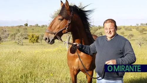 Pedro Viotty, proprietário da Coudelaria com o seu nome