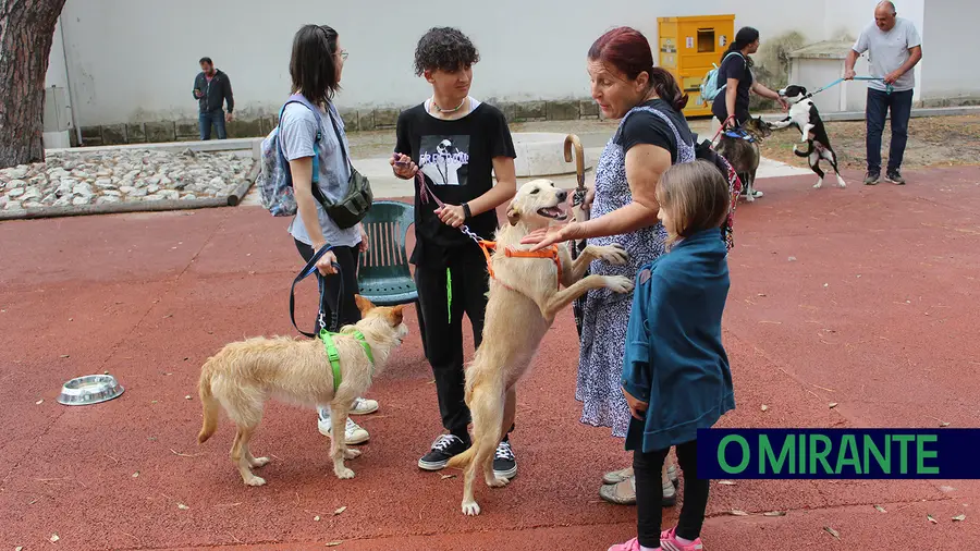 Vídeo. Galeria de Fotos. Primeira feira de adopção de animais em Benavente foi um sucesso