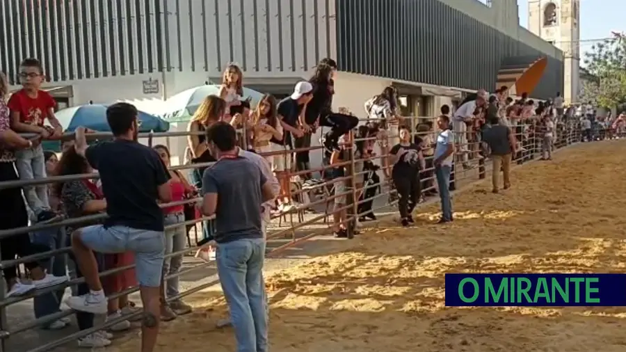 Vídeo. Primeira largada de toiros da Ascensão na Chamusca