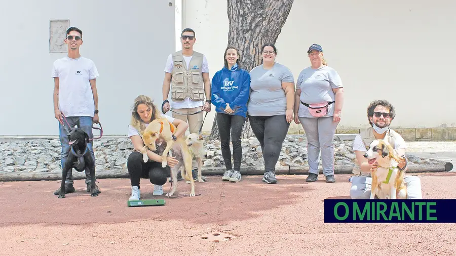 Edgar Correia, Joana Brito e Frederico Inácio são elementos da Associação de Jovens de Samora Correia