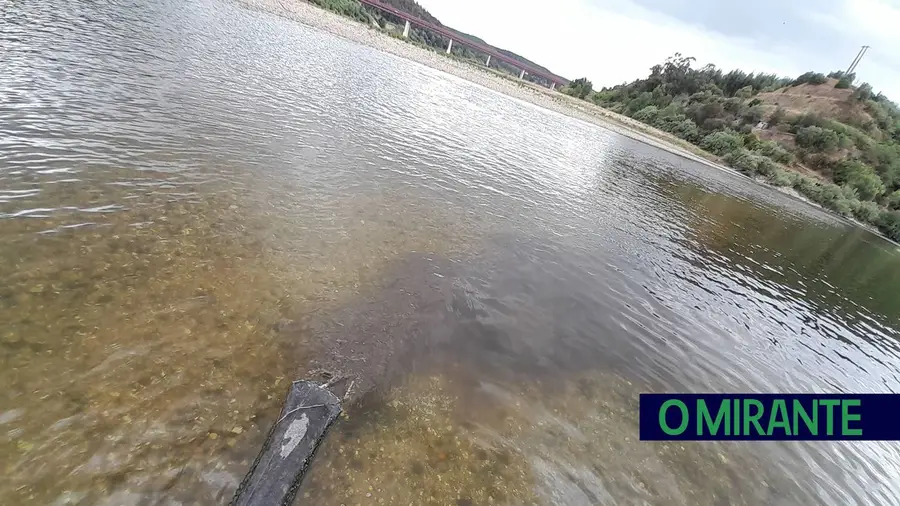 Vídeo. Constância tem os esgotos domésticos a correr para o Tejo