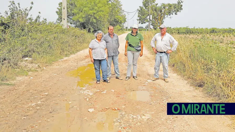 Mais de duas dezenas de empresários do sector agrícola queixam-se do mau estado das estradas de campo na zona das Caneiras, em Santarém