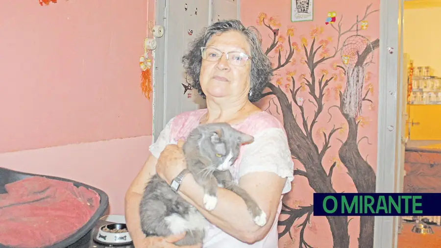 Marília Duarte é a fundadora da associação Os Xanecos – União de Amigos dos Animais Desprotegidos de Alverca