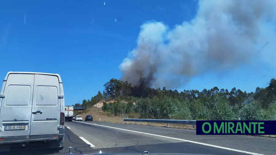 Fogo em automóvel na A15 provoca incêndio florestal em Rio Maior