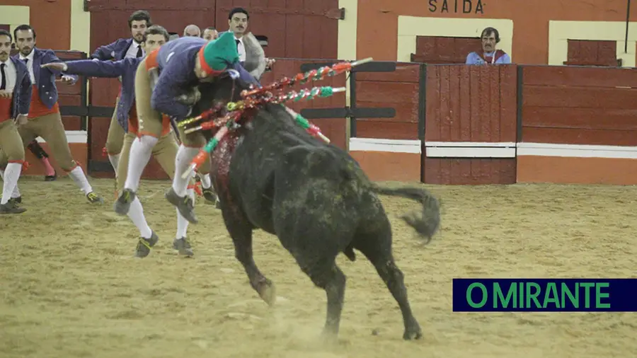 <strong>Corrida dos agricultores do Baixo Mondego</strong>