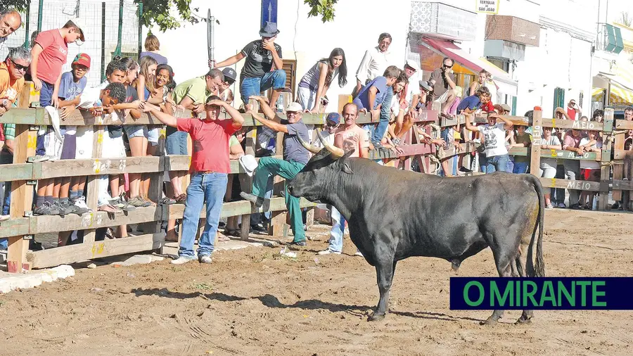 Actividades taurinas são um dos muitos atractivos da festa