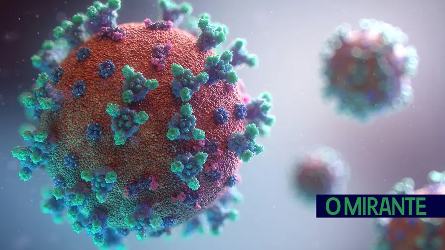 Percentagem de internados Covid em cuidados intensivos cai acentuadamente no Médio Tejo