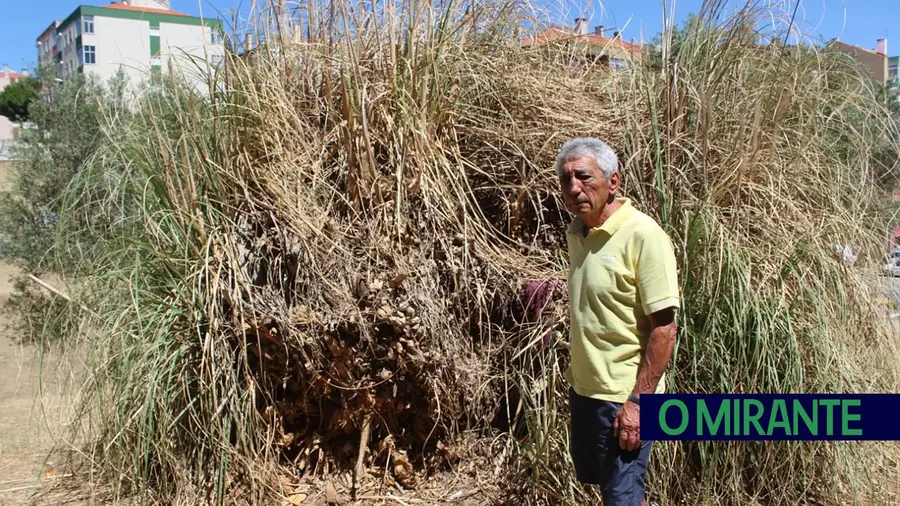 <strong>Braço de ferro entre autarcas e EPAL por causa de limpeza de terreno na Póvoa de Santa Iria</strong>