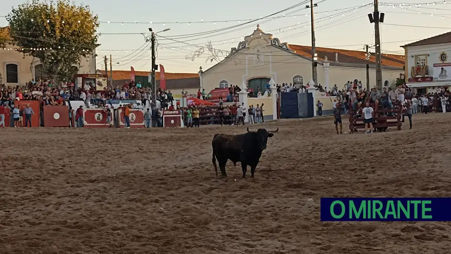 Primeira largada de toiros das festas de Samora Correia