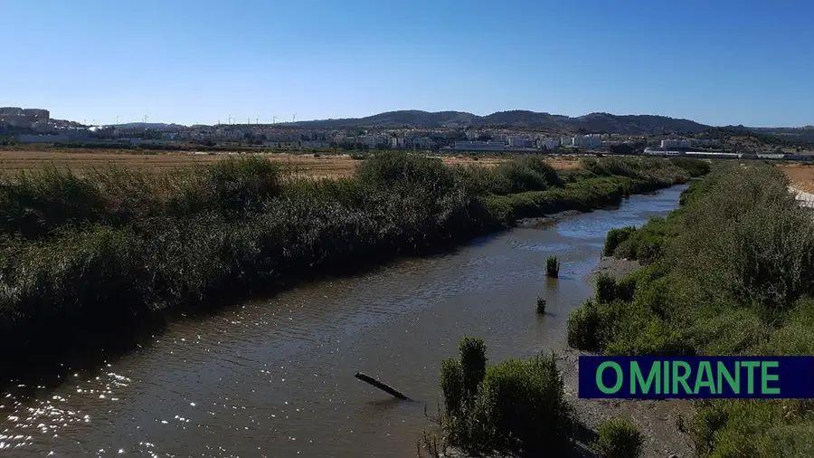 Salinas são consideradas um santuário para a nidificação de aves no Estuário do Tejo. fotoDR