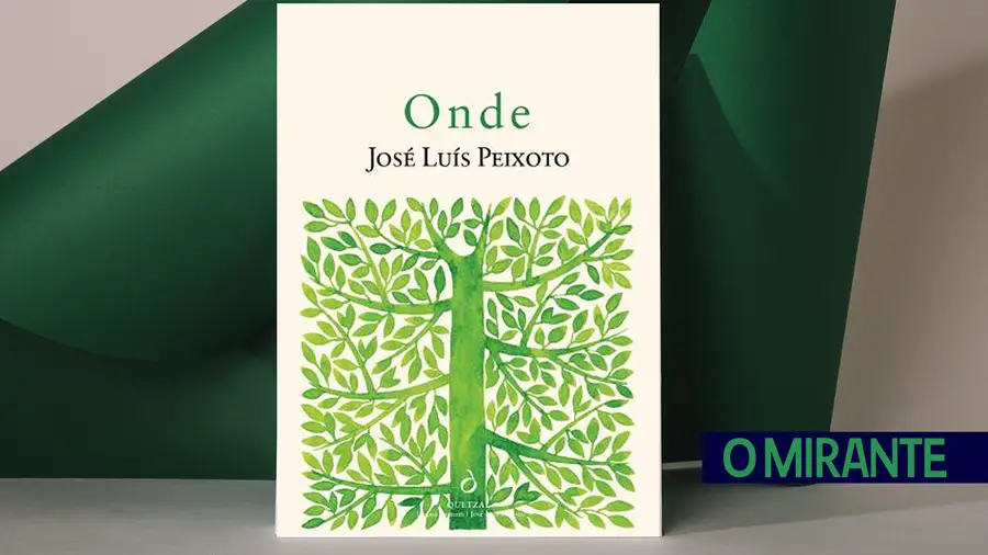 “Onde” é o novo livro de José Luís Peixoto dedicado a Abrantes, Sardoal e Constância