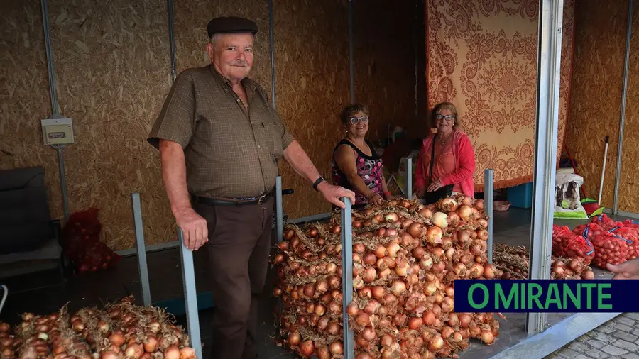 Produtores de cebolas queixam-se que negócio tem piorado nos últimos tempos devido à seca e ao aumento das matérias-primas