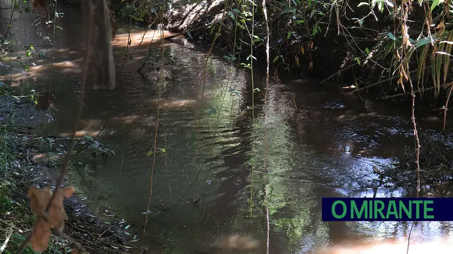 Moradores queixam-se que o rio Maior fica poluído sempre que fábrica da zona começa a campanha de tomate