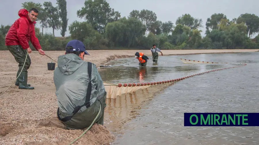 João Gago (de vermelho) com a sua equipa durante uma amostragem de peixes no rio Tejo. fotoDR