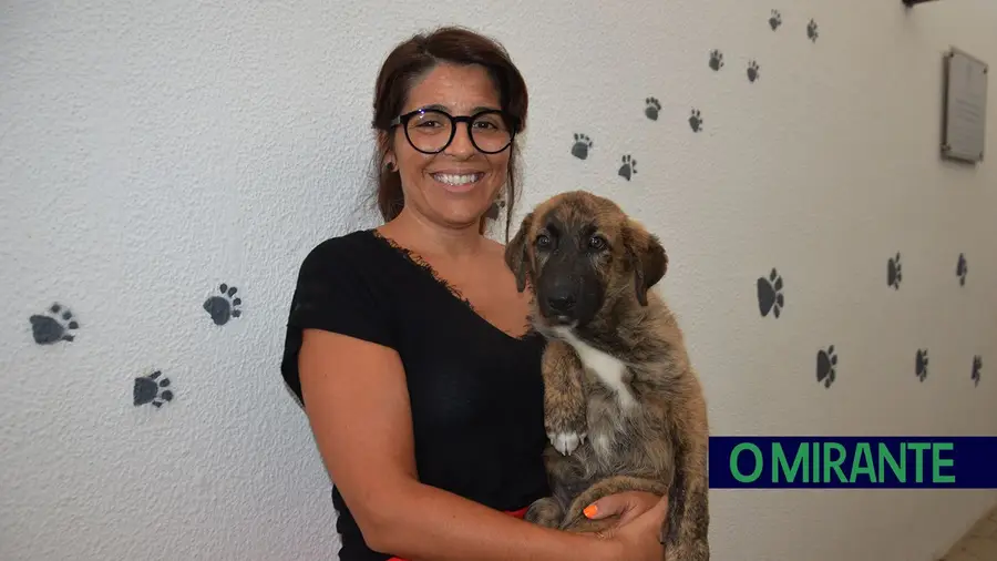 Ana Leonardo gosta de todos os animais por igual mas são os cães a sua paixão