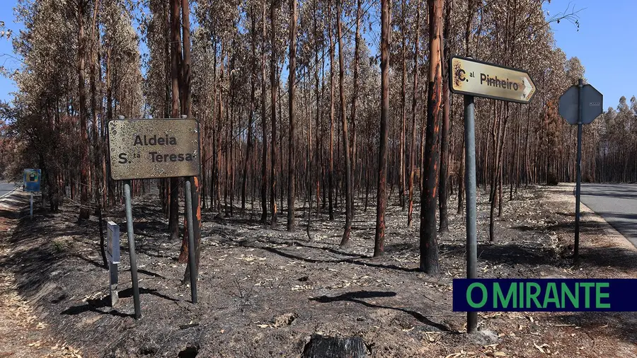 Agricultores dos concelhos de Abrantes, Ourém e Rio Maior afectados pelos fogos podem candidatar-se a apoios para restabelecimento do potencial produtivo agrícola