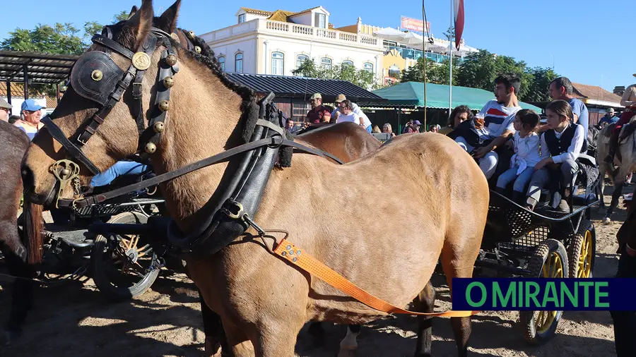 Feira da Golegã: Para quem gosta de Cavalos - LikedPlaces