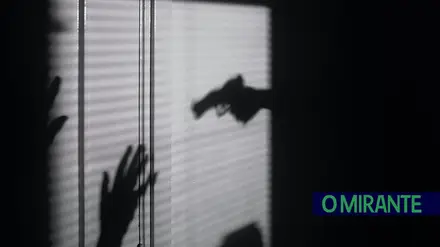 Criminalidade expõe contrastes profundos entre os concelhos da região