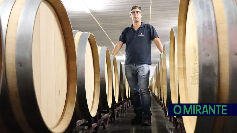 Conflito com a tropa levou à descoberta da vinha e criou uma marca de prestígio Conflito com a tropa levou à descoberta da vinha e criou uma marca de prestígio