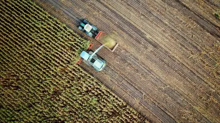 Novas tecnologias digitais são o futuro da agricultura