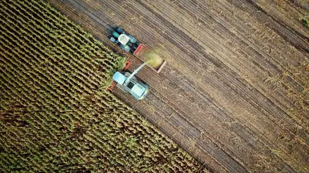 Novas tecnologias digitais são o futuro da agricultura Novas tecnologias digitais são o futuro da agricultura