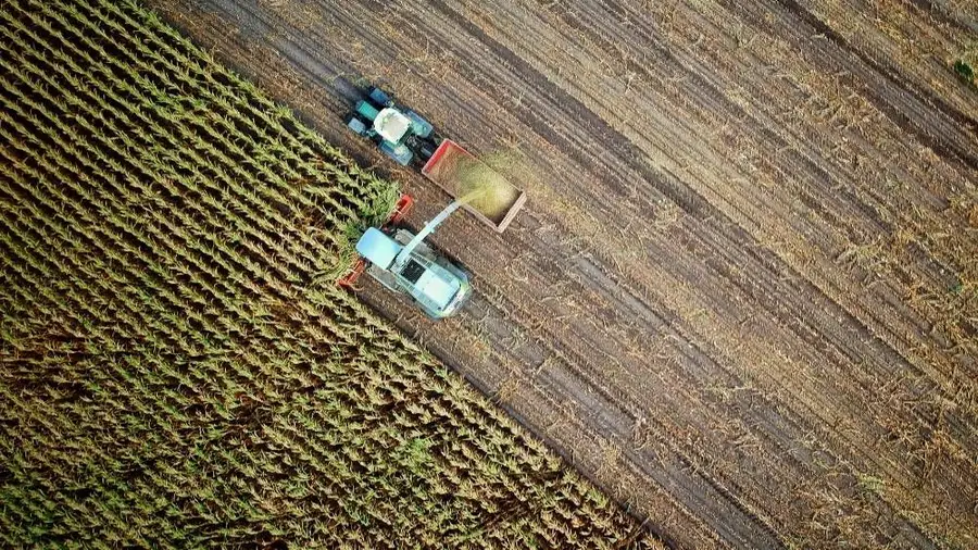 Novas tecnologias digitais são o futuro da agricultura Novas tecnologias digitais são o futuro da agricultura