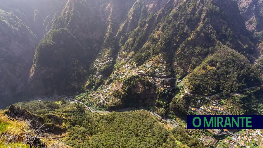 Fóssil revela existência de formigas na Madeira há mais de um milhão de anos Fóssil revela existência de formigas na Madeira há mais de um milhão de anos