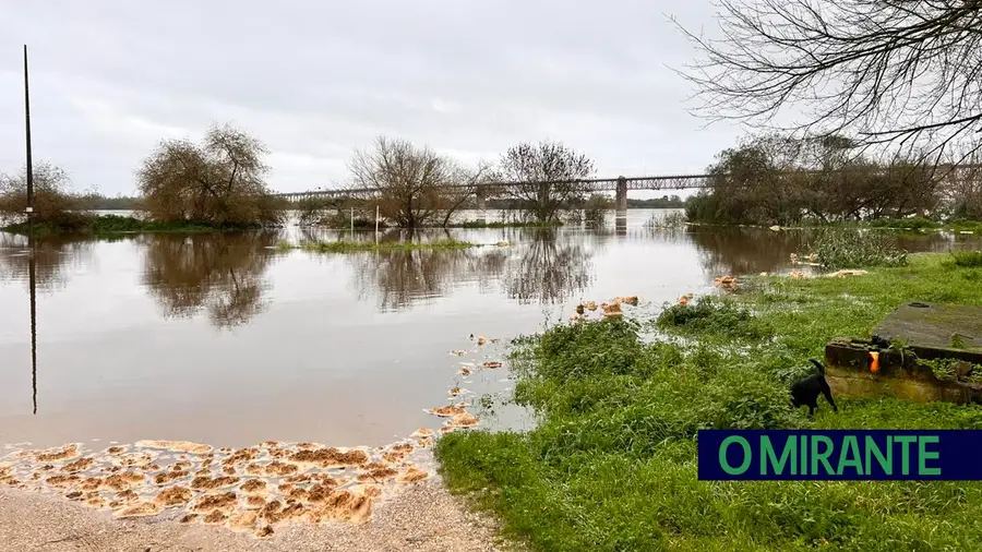 Caudais lançados no Tejo baixaram mas mantêm-se constrangimentos no distrito de Santarém Caudais lançados no Tejo baixaram mas mantêm-se constrangimentos no distrito de Santarém