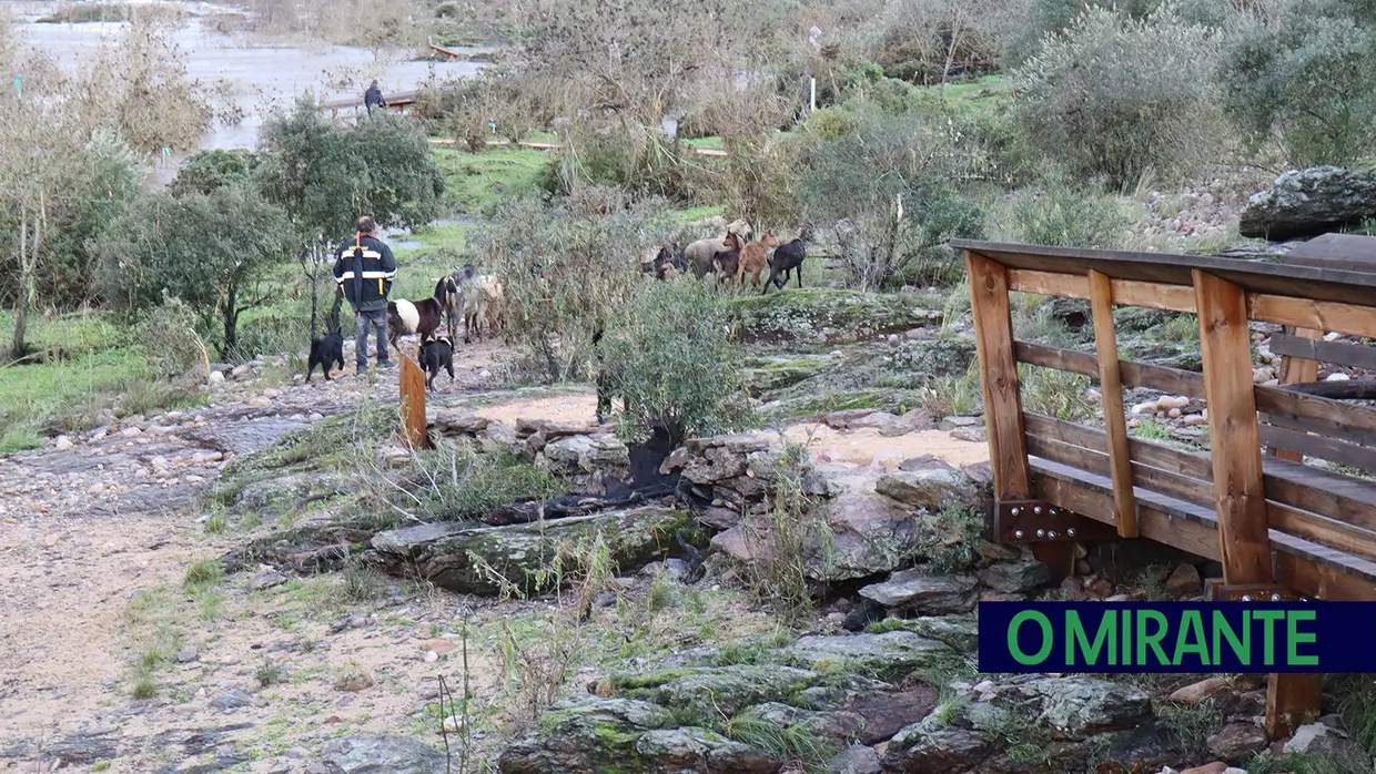 Parte dos passadiços de Ortiga destruídos pela água