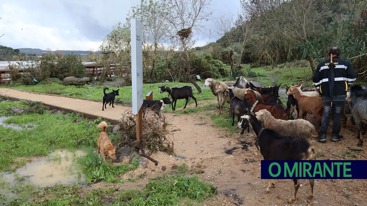 Parte dos passadiços de Ortiga destruídos pela água