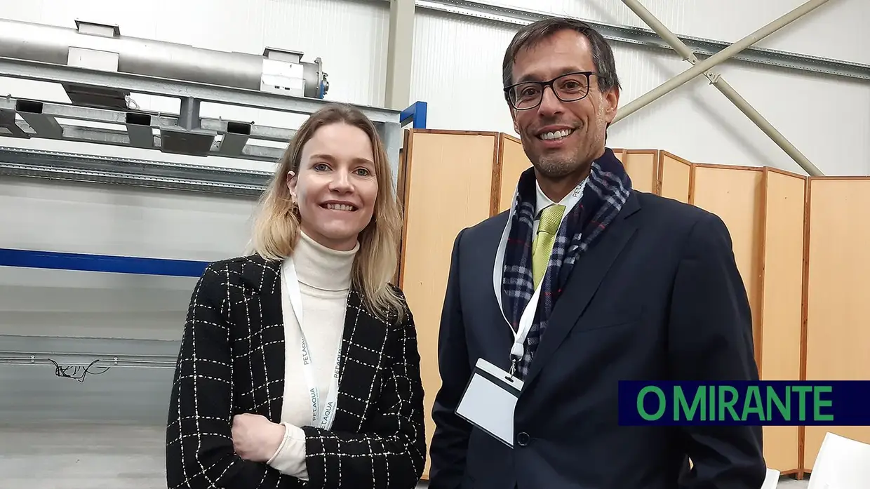 Investimento de quatro milhões em Santarém para valorizar subprodutos animais