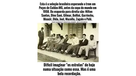 Apanhados na rede