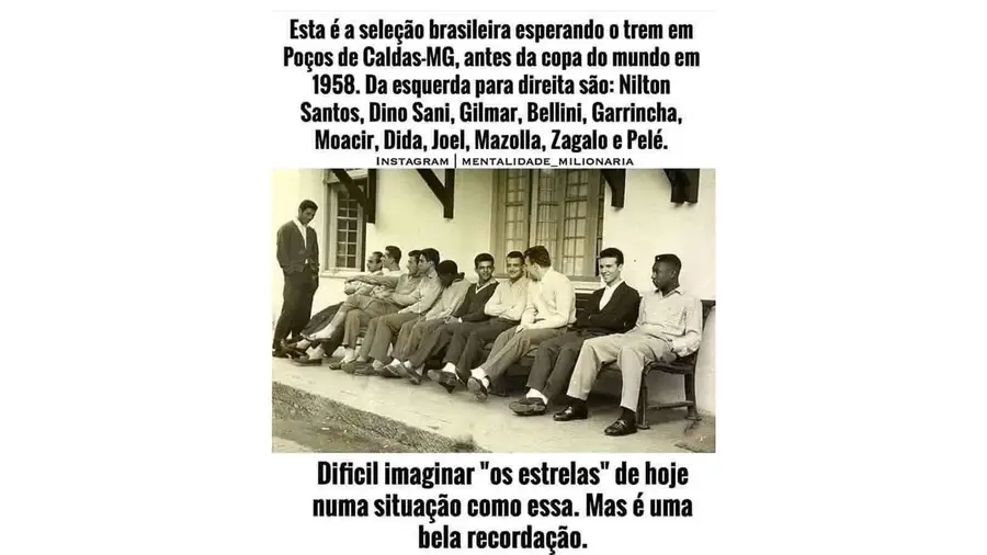 Apanhados na rede