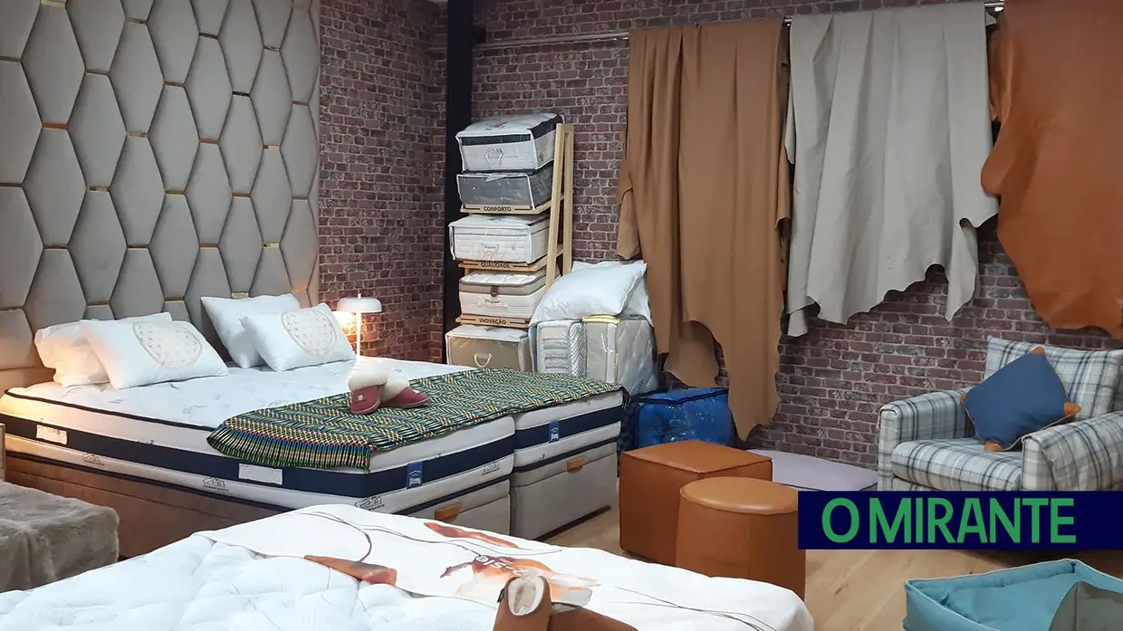 Mola Solta inaugura showroom e apresenta novo projecto