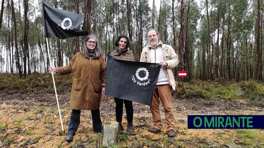 Bandeira negra em Abrantes como alerta para a invasão do eucalipto