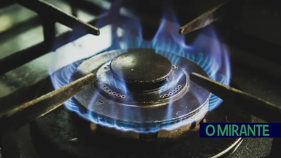 Gases dos fogões a gás prejudicam a saúde, especialmente das crianças Gases dos fogões a gás prejudicam a saúde, especialmente das crianças