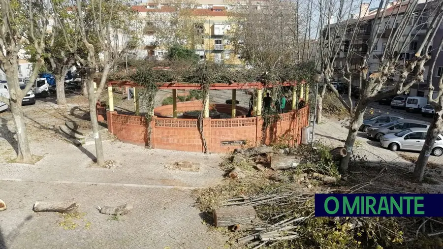 Começou o abate de árvores na Cova do Bicho em Alverca