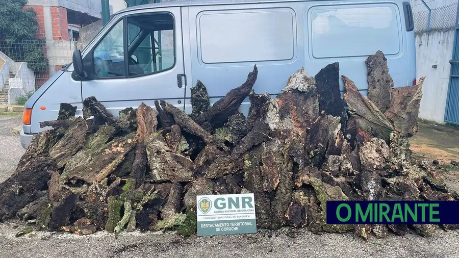 Três detidos em Benavente por roubo de cortiça Três detidos em Benavente por roubo de cortiça