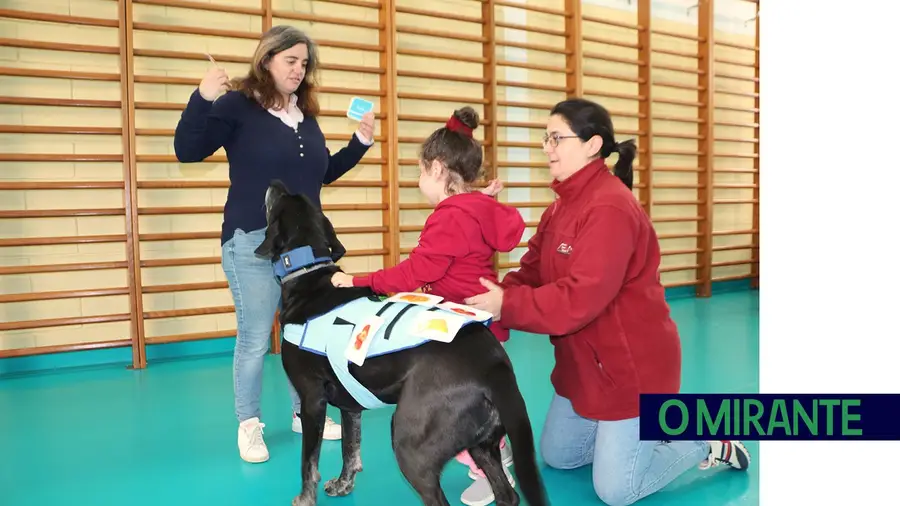 Crianças com necessidades especiais ajudadas por cães terapeutas